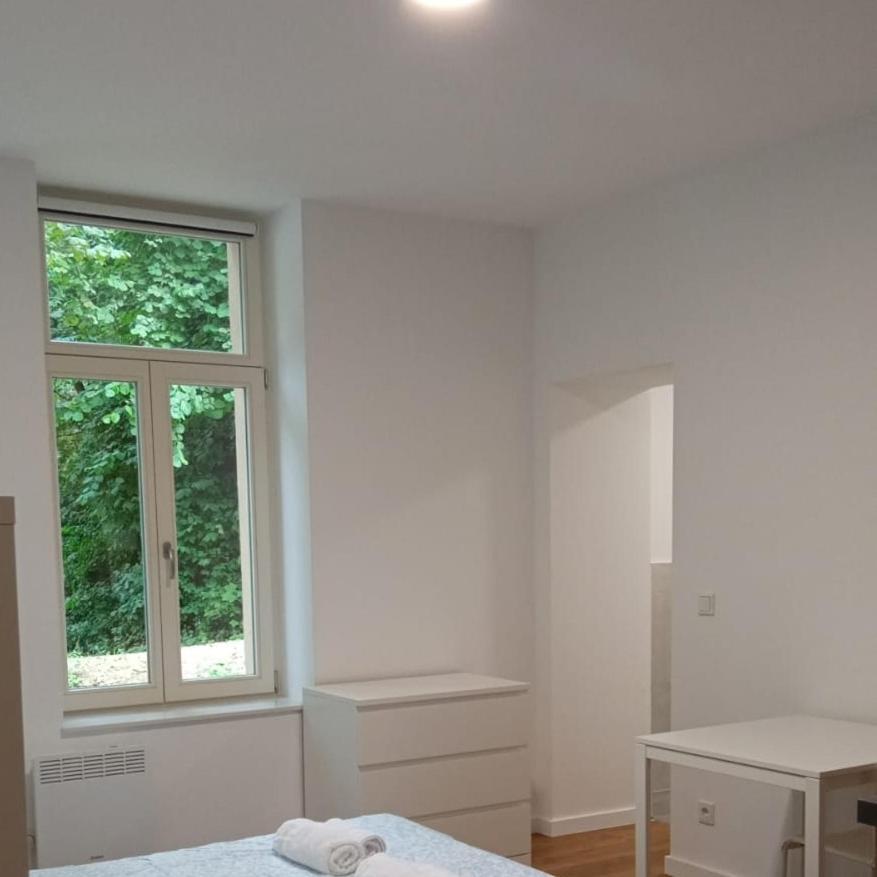Studio Near To The City Centre Lussemburgo Esterno foto